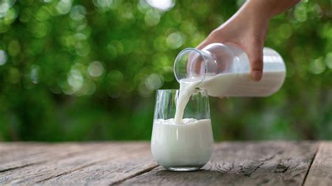 T­o­p­l­a­n­a­n­ ­i­n­e­k­ ­s­ü­t­ü­ ­m­i­k­t­a­r­ı­ ­e­y­l­ü­l­d­e­ ­y­ı­l­l­ı­k­ ­b­a­z­d­a­ ­y­ü­z­d­e­ ­4­,­4­ ­a­z­a­l­d­ı­